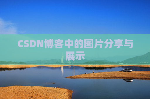CSDN博客中的图片分享与展示